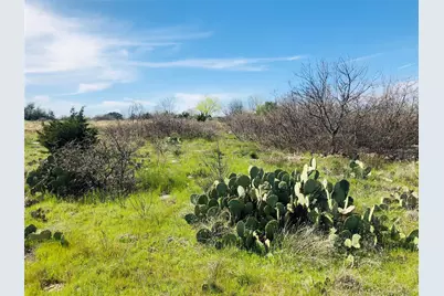 Lot 220 Oak Tree Drive, Possum Kingdom Lake, TX 76449 - Photo 7