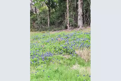 Fm 3371 Fm-3371 Path, Thornton, TX 76687 - Photo 1