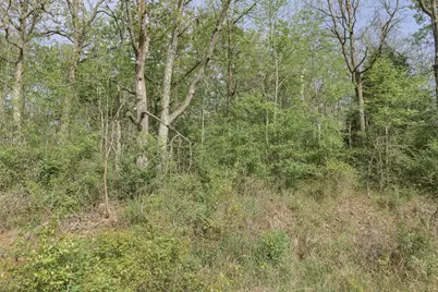 1364 Utopia Road, Tool, TX 75143 - Photo 15