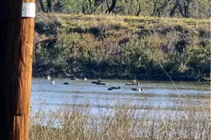 573 Co Rd 412, Carbon, TX 76435 - Photo 5