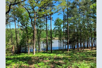 Tbd Fm-3506, Frankston, TX 75763 - Photo 3