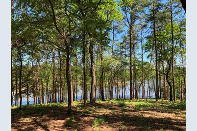 Tbd Fm-3506, Frankston, TX 75763 - Photo 21