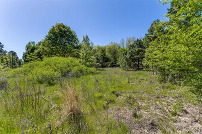 0 S Fm 14, Hawkins, TX 75773 - Photo 9