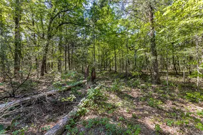 0 S Fm 14, Hawkins, TX 75773 - Photo 7