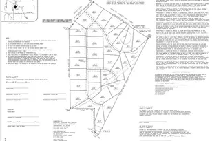 101 Norene Ln, Peaster, TX 76088 - Photo 1