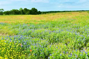 Tbd Pr 373 County Road 3373, Hubbard, TX 76648 - Photo 1