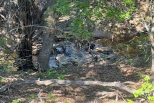 1018 Creek Crossing Rd, Glen Rose, TX 76070 - Photo 5