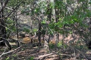 1018 Creek Crossing Rd, Glen Rose, TX 76070 - Photo 7