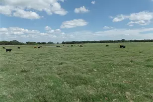 Tbd Fm 3025, Stephenville, TX 76401 - Photo 1