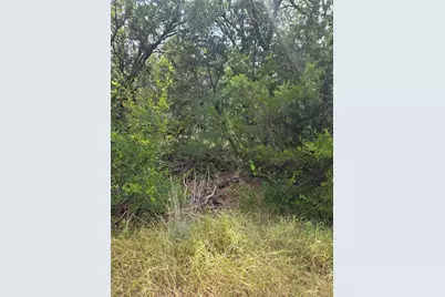 6014 N Oklahoma Trail, Granbury, TX 76048 - Photo 3