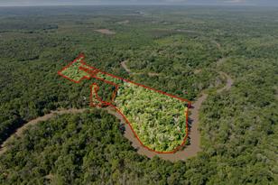 307 Fish Trap Ln, Naples, TX 75568 - Photo 33