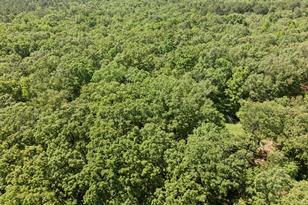 307 Fish Trap Ln, Naples, TX 75568 - Photo 39