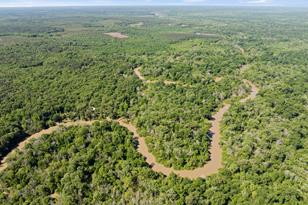 307 Fish Trap Ln, Naples, TX 75568 - Photo 31