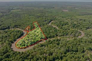 307 Fish Trap Ln, Naples, TX 75568 - Photo 35