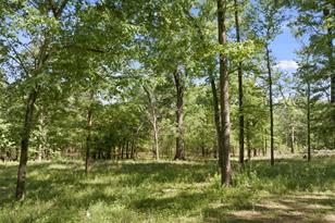 307 Fish Trap Ln, Naples, TX 75568 - Photo 15