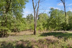 307 Fish Trap Ln, Naples, TX 75568 - Photo 19