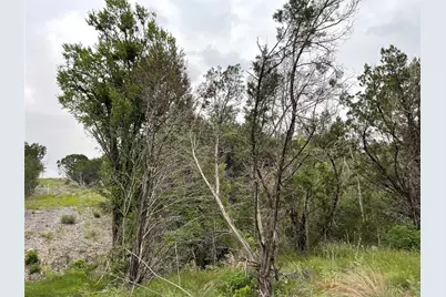 1083 Cedar Hill Drive, Nemo, TX 76070 - Photo 21