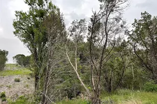 1083 Cedar Hl Dr, Nemo, TX 76070 - Photo 21