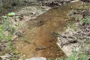 1083 Cedar Hl Dr, Nemo, TX 76070 - Photo 5