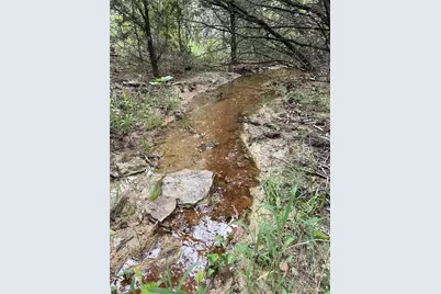 1083 Cedar Hill Drive, Nemo, TX 76070 - Photo 9