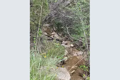 1083 Cedar Hill Drive, Nemo, TX 76070 - Photo 7