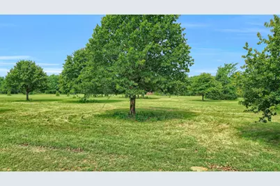 Tbd W Line Road, Whitesboro, TX 76273 - Photo 5