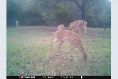 18037 Southhill Drive, Whitney, TX 76692 - Photo 9