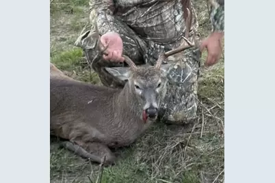 218 Cr 2115, Klondike, TX 75432 - Photo 33