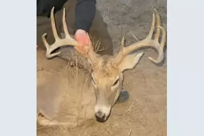 218 Cr 2115, Klondike, TX 75432 - Photo 29