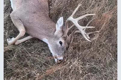 218 Cr 2115, Klondike, TX 75432 - Photo 31