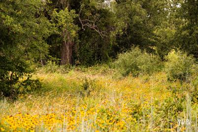 Lot 26 New Hope Road Road, Santo, TX 76484 - Photo 27