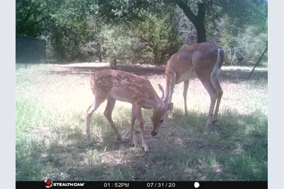 1181 Leaning Oak Trail, Whitney, TX 76692 - Photo 39