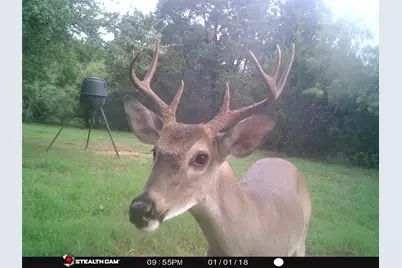 1181 Leaning Oak Trail, Whitney, TX 76692 - Photo 3