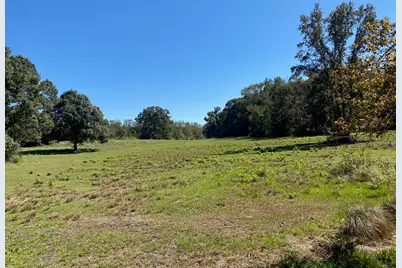 Tbd 004 County Road 242, Oakwood, TX 75855 - Photo 5