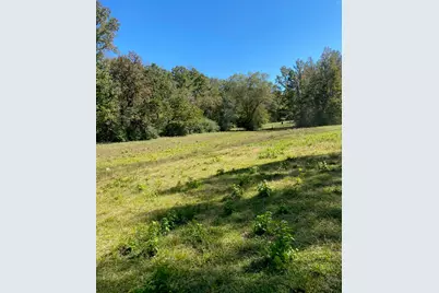 Tbd 004 County Road 242, Oakwood, TX 75855 - Photo 3