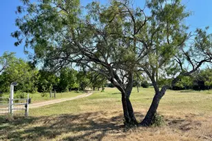 299 Private Rd 1452, Chico, TX 76431 - Photo 11