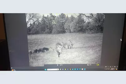 3285 Roland Road, Whitesboro, TX 76273 - Photo 7