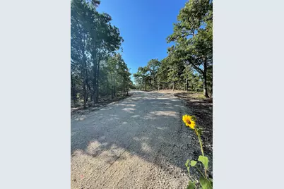 208 Red Top Road, Valley View, TX 76272 - Photo 7