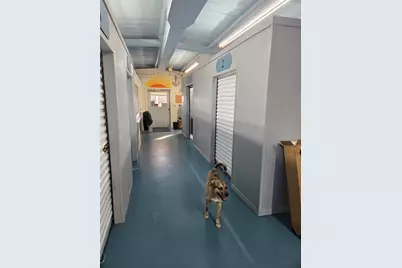 8034 Fm 513 S, Lone Oak, TX 75453 - Photo 31