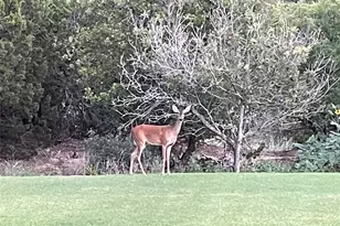 217 Co Rd 322, Tuscola, TX 79562 - Photo 39