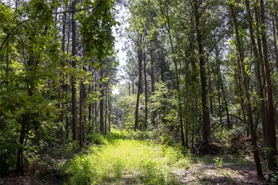 Tract 1 County Road 1713, Jacksonville, TX 75766 - Photo 5