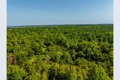 Tract 1 County Road 1713, Jacksonville, TX 75766 - Photo 7