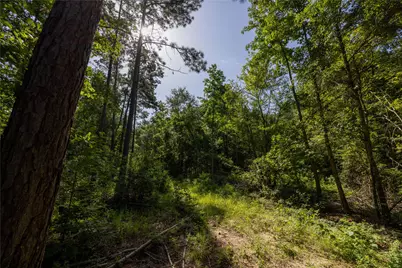 Tract 1 County Road 1713, Jacksonville, TX 75766 - Photo 9