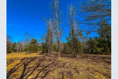 Tract 1 County Road 1713, Jacksonville, TX 75766 - Photo 13