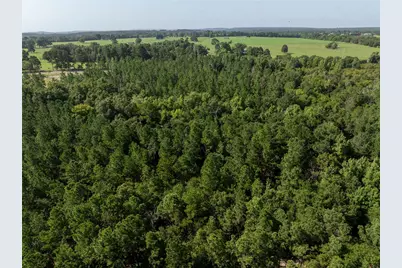 Tract 2 County Road 1713, Jacksonville, TX 75766 - Photo 19