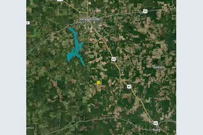 Tract 2 County Road 1713, Jacksonville, TX 75766 - Photo 23