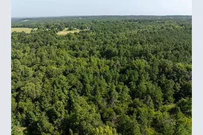Tract 2 County Road 1713, Jacksonville, TX 75766 - Photo 5