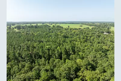 Tract 2 County Road 1713, Jacksonville, TX 75766 - Photo 17