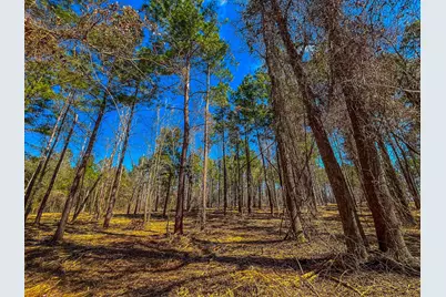 Tract 2 County Road 1713, Jacksonville, TX 75766 - Photo 7
