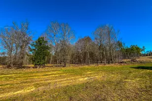 Tract 2 County Road 1713, Jacksonville, TX 75766 - Photo 1